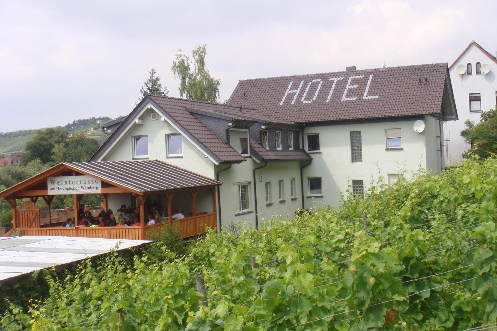Landhotel Weingut Schulze Freyburg Exterior photo
